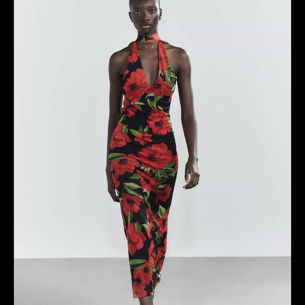 Zara Floral Print Tulle Scarf Dress red / black